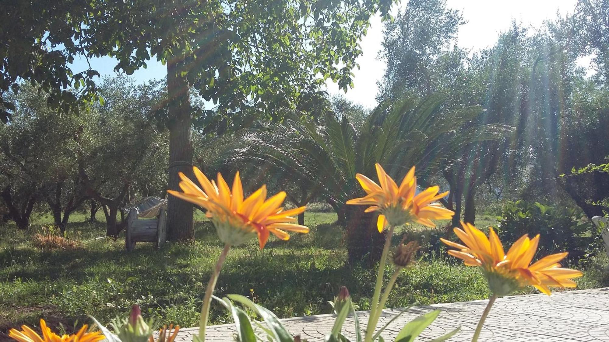 Agriturismo Santa Maria مارتا المظهر الخارجي الصورة