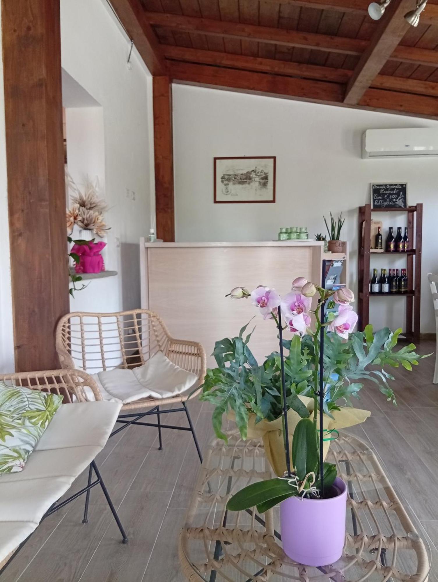 Agriturismo Santa Maria مارتا المظهر الخارجي الصورة