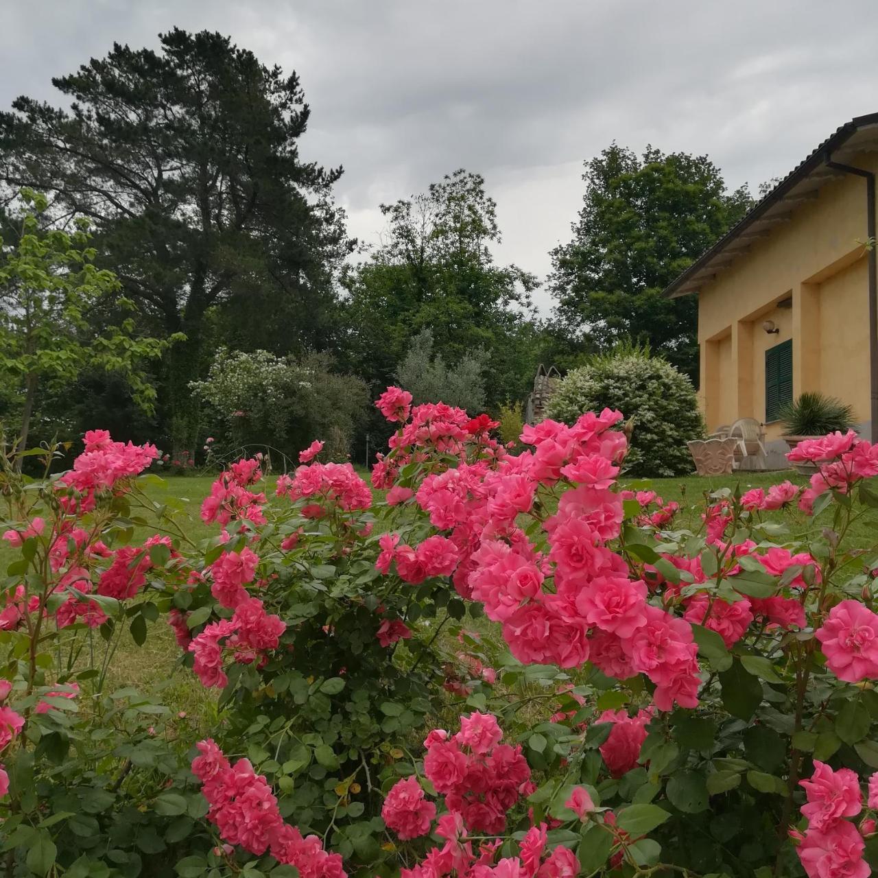 Agriturismo Santa Maria مارتا المظهر الخارجي الصورة