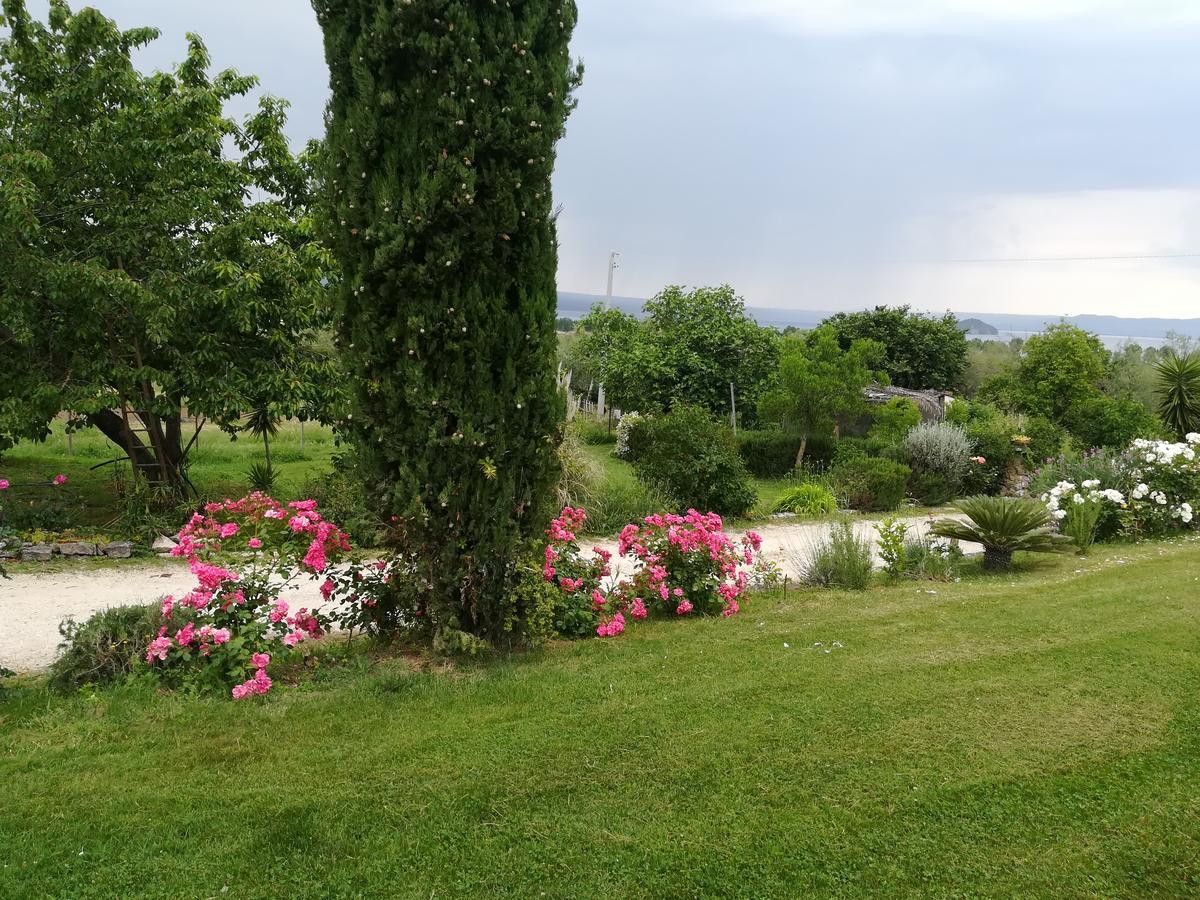 Agriturismo Santa Maria مارتا المظهر الخارجي الصورة